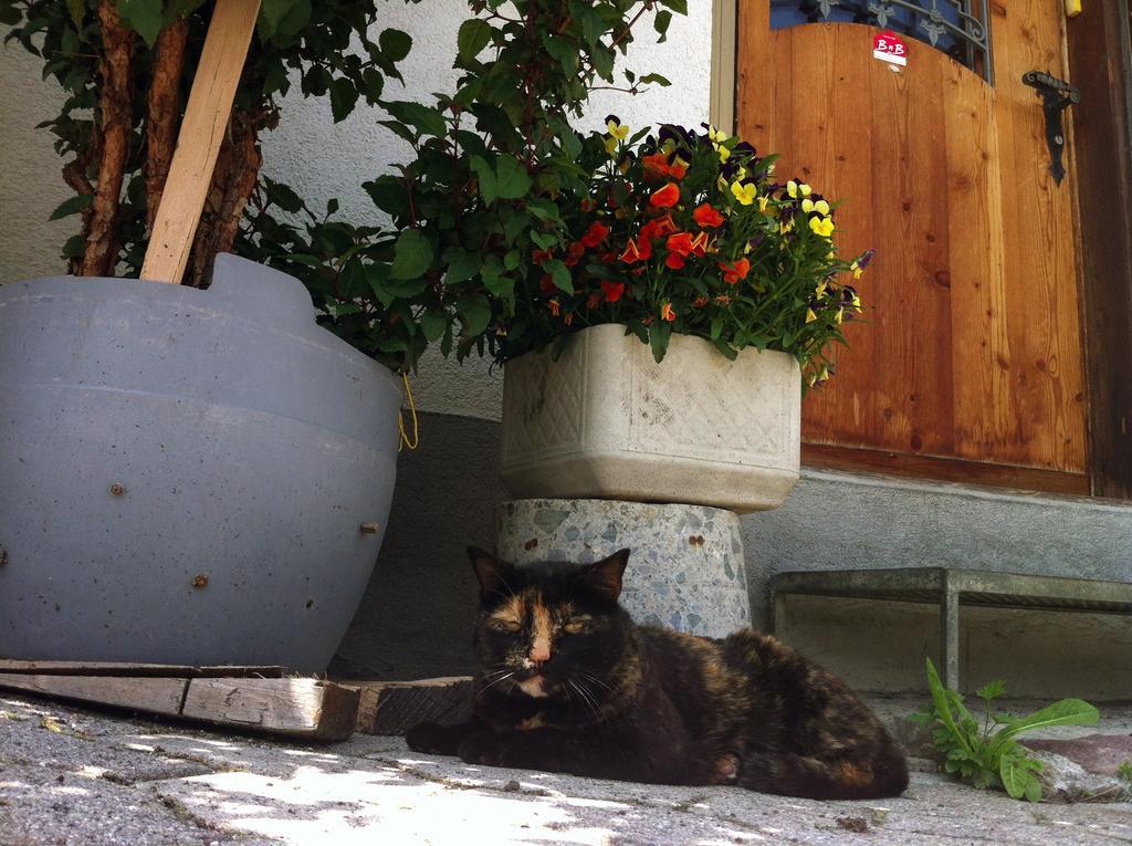 Bnb Guesthouse Lusi Frauenkirch Exterior foto